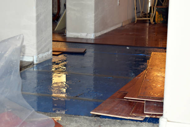 Professional Sewage Cleanup technician working in Lakeview, MI